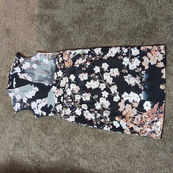 Cleo Sakura Blossom Dress - Picture 1 of 8